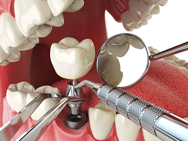 Best Emergency Orthodontic Repairs in Dunstan, ME